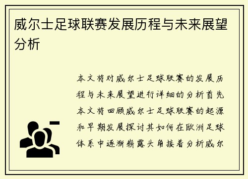 威尔士足球联赛发展历程与未来展望分析
